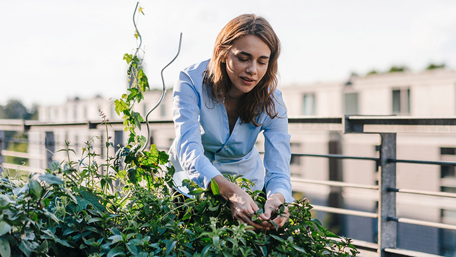 woman in a blue shirt is leaning over a rooftop garden, meticulously caring for the plants, with the city skyline in the backdrop.
